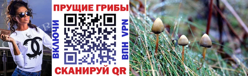 МЕГА ССЫЛКА Нарьян-Мар Псилоцибиновые грибы Psilocybine cubensis